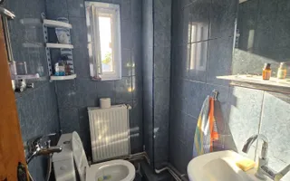 Casă / Vilă cu 8 camere de vânzare în Lapus, Craiova - Poză 20