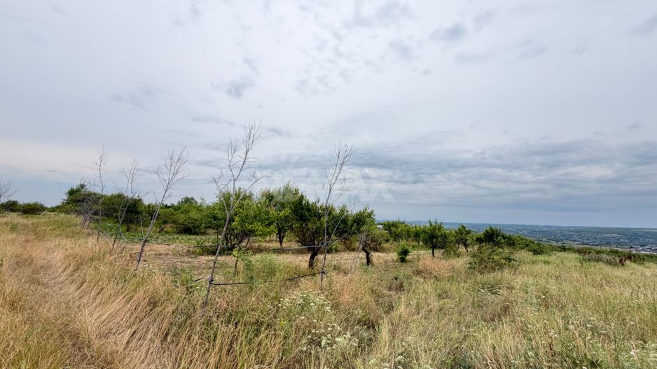 40 Ari Teren Agricol Ialoveni - Poză 3