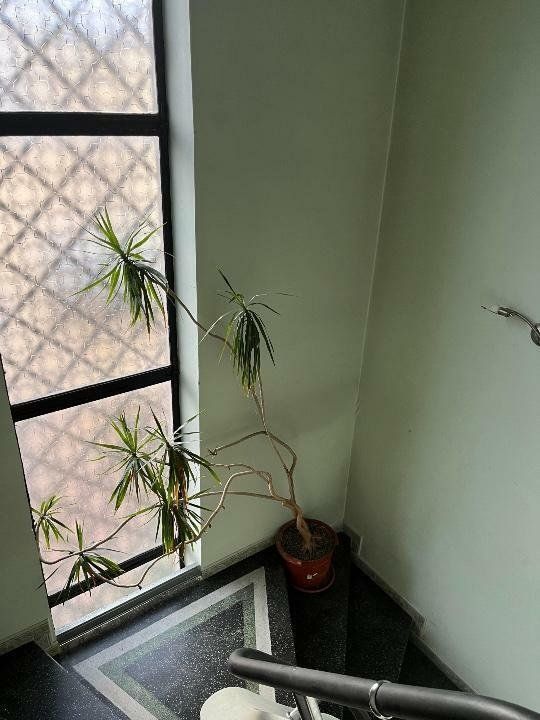 Casa/Vila Marriott/Parlament - Poză 13