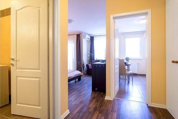 Apartament de inchiriat 1 camera Parcare, Calea Turzii - Poză 5