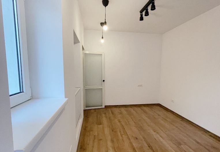 Vila cu terasa si curte de inchiriat (ideal firma), Parcul Carol - Unirii - Poză 6