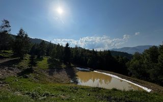 18000 mp de natura pura ,Lupeni, langa Straja - Poză 19