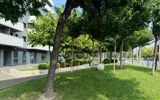 Spatiu Comercial | Stradal | 338 m2 | Trafic intens | Vitralii | - Poză 2