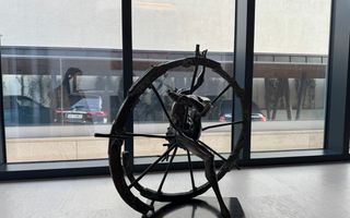 Resedinta de lux / *Kiseleff* - Poză 75