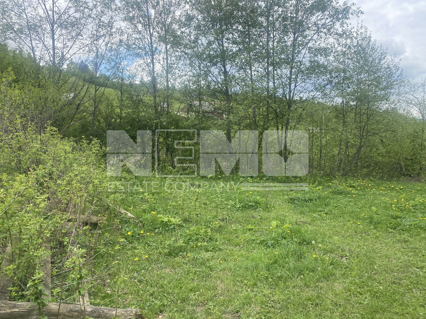 Teren Intravilan | Câmpulung Moldovenesc | 31ARI - Poză 10