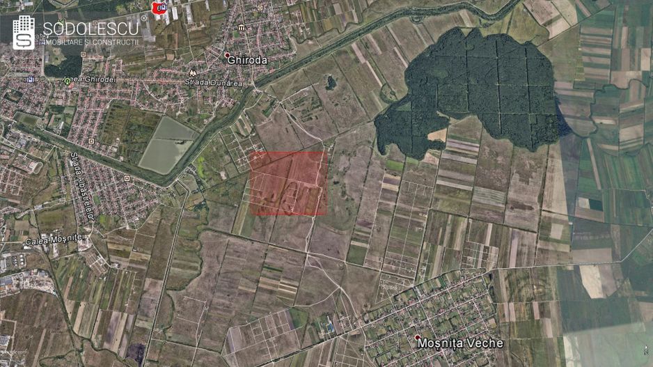 TEREN ZONA PADUREA BISTRA 879 MP - Poză 5