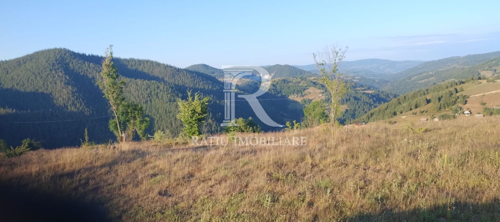 Teren Intravilan | 3.000 mp | Gârda de Sus | Alba | - Poză 2