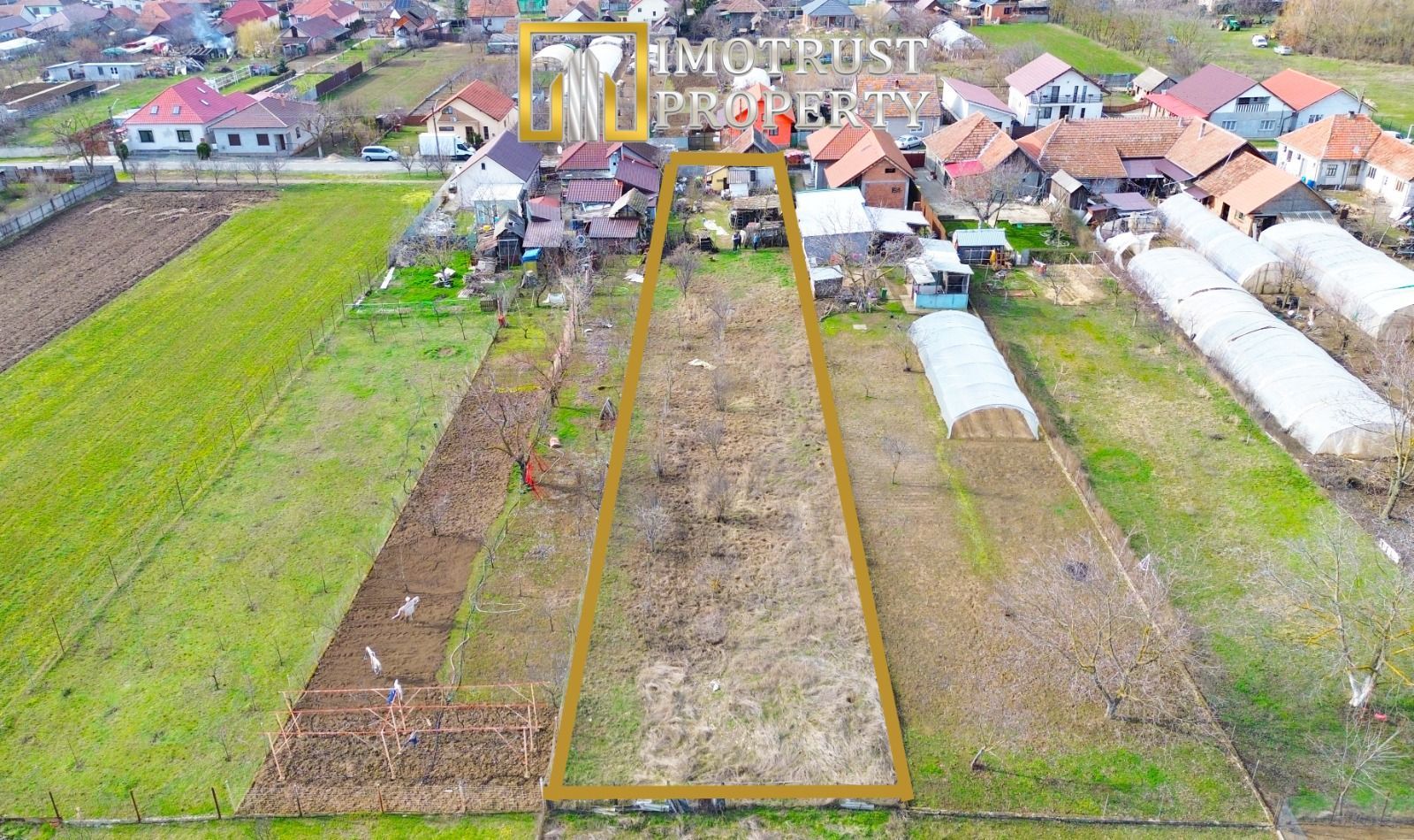 Casă cu teren generos 1.305 mp | Curtici – Arad - Poză 5