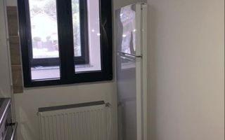 Apartament de închiriat, 1 cameră, Lunca Cetățuii - Poză 3