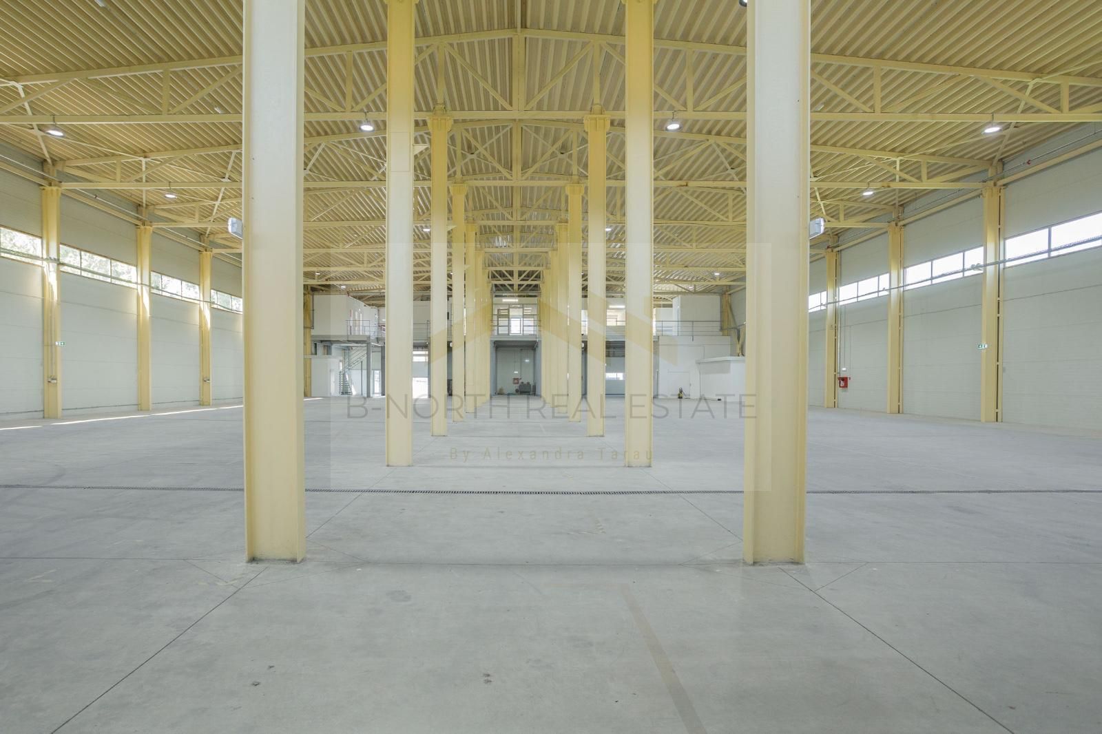Hală industrială 1000 mp Otopeni | Rampe TIR | ISU | Acces DN1 & Centură - Poză 14