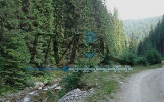 Teren de vânzarepadure  in Cugir 10.644mp - Poză 2