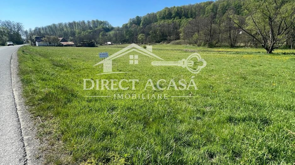 Teren intravilan 8900 mp-Sacadat-Sovata - Poză 4