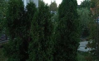 Casa/Vila Bucium - Bellaria - Poză 6