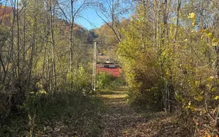 Teren langa pădure 6400mp+casa demolabila-deschidere 35 ml - Poză 17