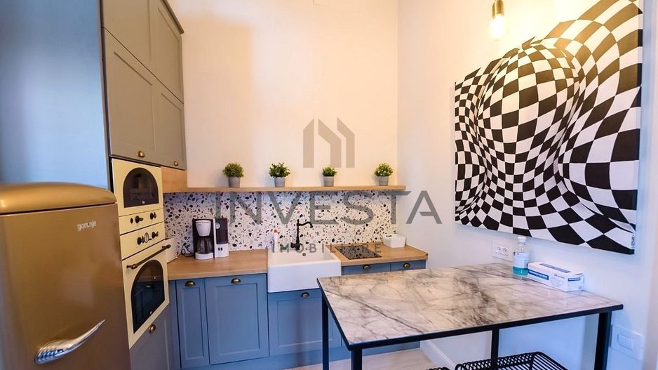 2 unitati locative in zona Ultracentrala - Investitie ideala - Poză 6
