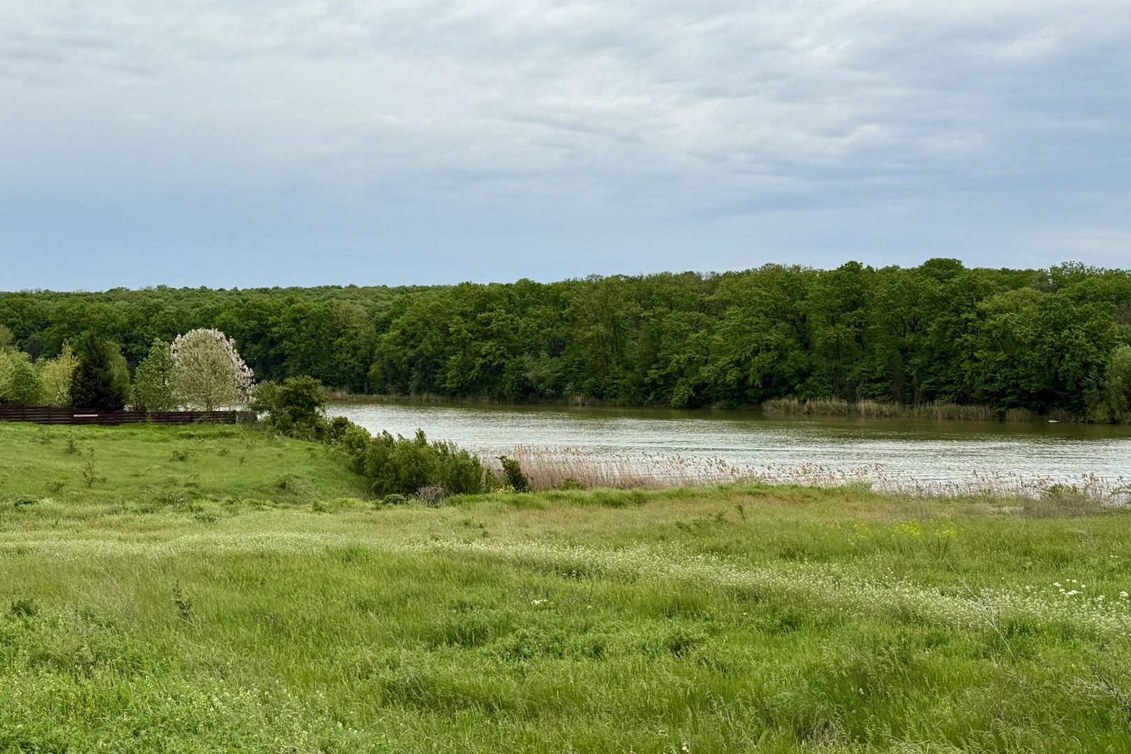 Teren intravilan de 1000 mp în Grădiștea, Ilfov – ideal pentru casa ta - Poză 7