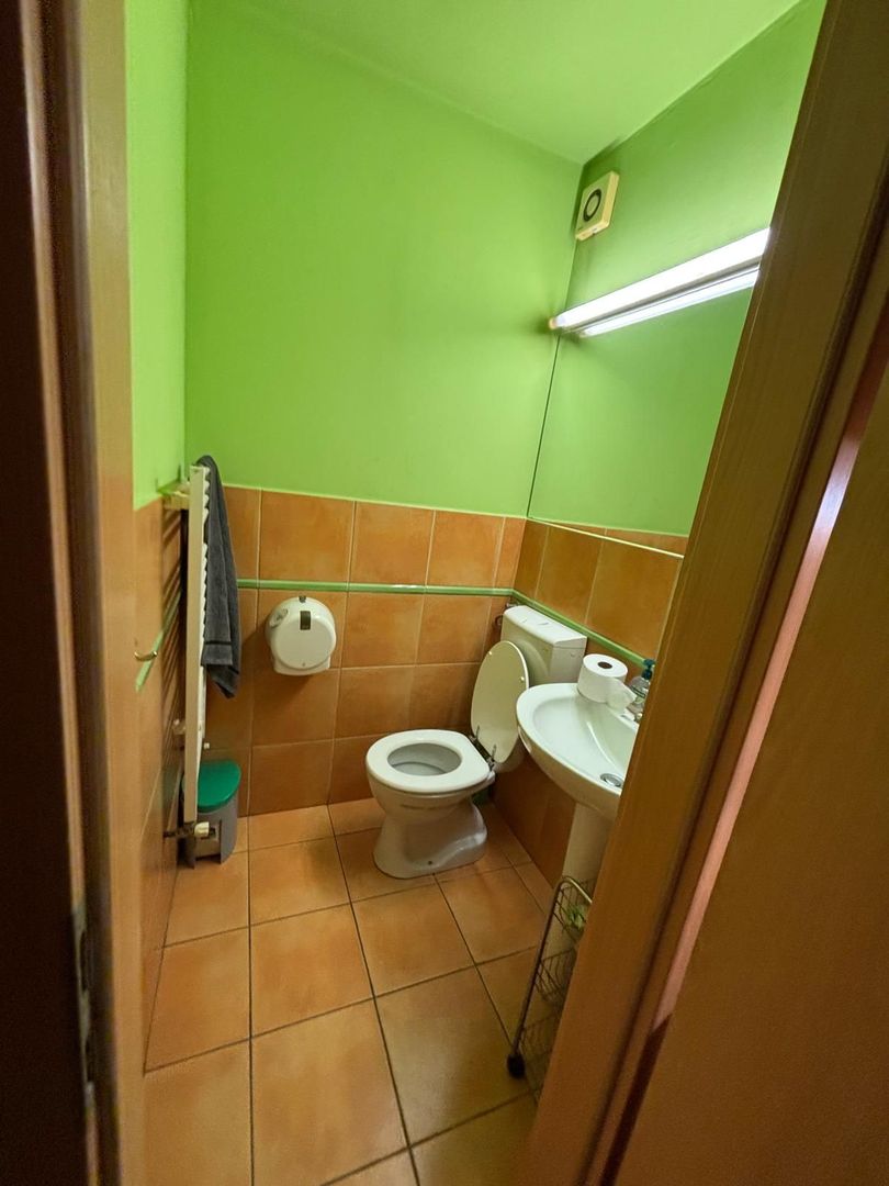 Spatiu comercial langa Medicina si Prefectura - Poză 23