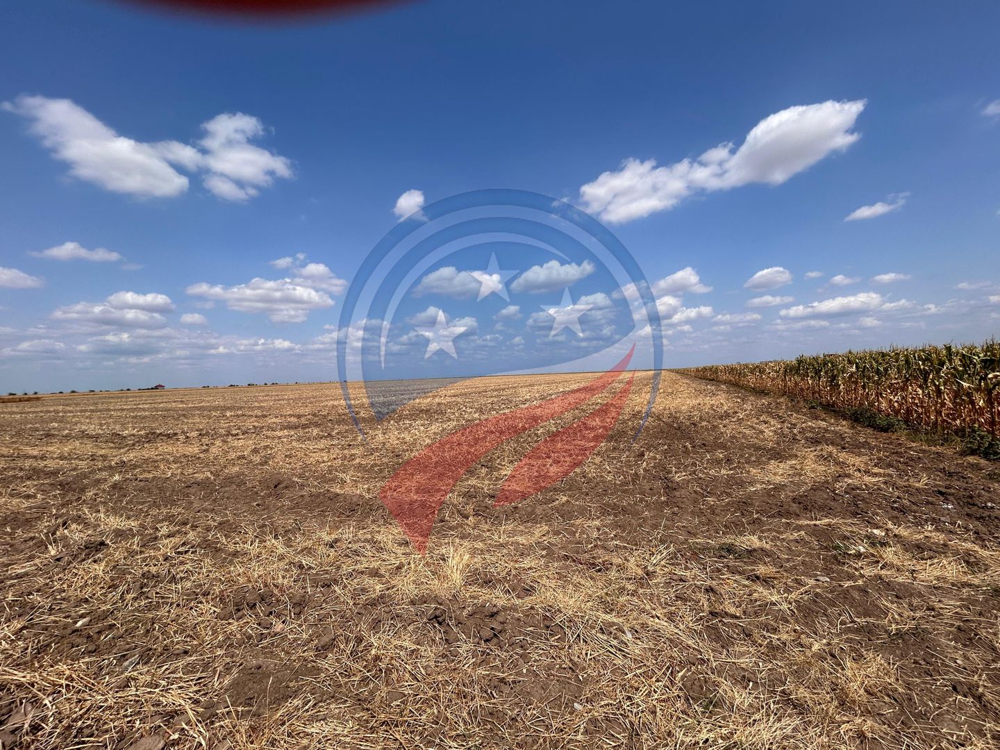 Teren intravilan de vanzare in Pielesti - Poză 5