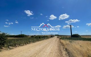 NECTORA IMOB-Teren Zona Osorhei, 5500 mp, 21 ml Front, 210 ml adancime - Poză 1