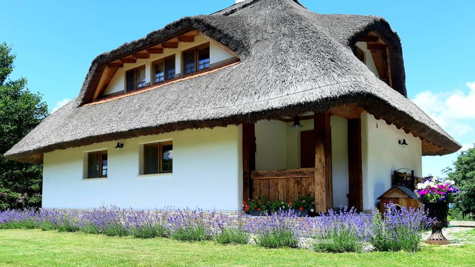 Casa traditionala de vis, aproape de Cluj-Napoca - Poză 1