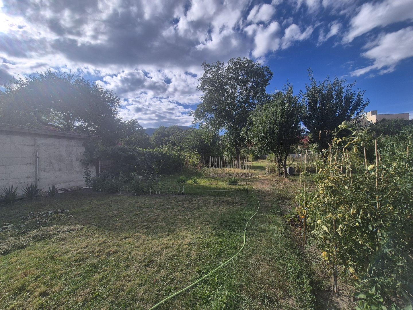 Comision 0 - 🏡 CORP DE CASĂ DE VÂNZARE – CODLEA, STRADA NOUĂ | ZONA A - Poză 3