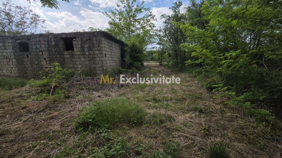 De Vânzare 19 ari Teren Lipău - Poză 4