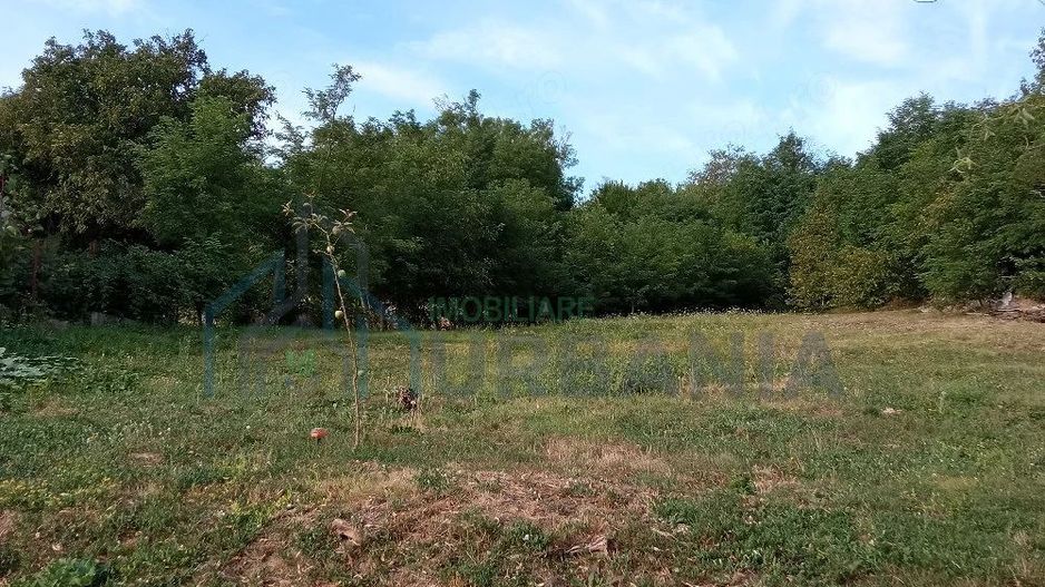 Teren de vânzare în Rediu, județul Iași - Poză 2