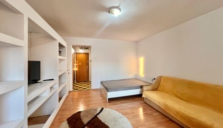 PET FRIENDLY | Apartament cu 1 camera| Take Ionescu , Timisoara