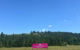 OPORTUNITATE ÎN INIMA NATURII-Teren intravilan, COMANDĂU, COVASNA - Poză 3