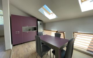 Apartament open-space tip loft , Grigorescu, pet-friendly - Poză 1