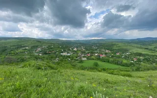 Domeniu 15.900 mp în Fințești | Casă + Investiție Dealu Mare - Poză 19