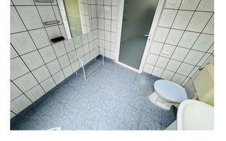 De inchiriat cladire comerciala potential P+M Gradiste Arad - Poză 19