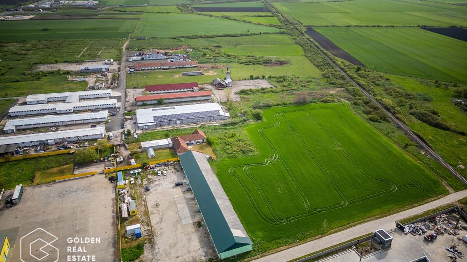 Hala industriala, Pecica, județul Arad - Poză 48