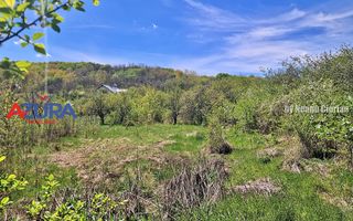 AZURA Imobiliare - Casa Merisani Varzaru DN - Poză 16