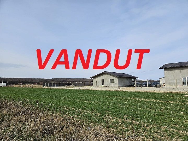 Teren intravilan 882 mp, Smeura - Hintesti - Poză 1