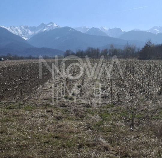 Teren extravilan de vanzare - Arpasul de Sus - Poză 3