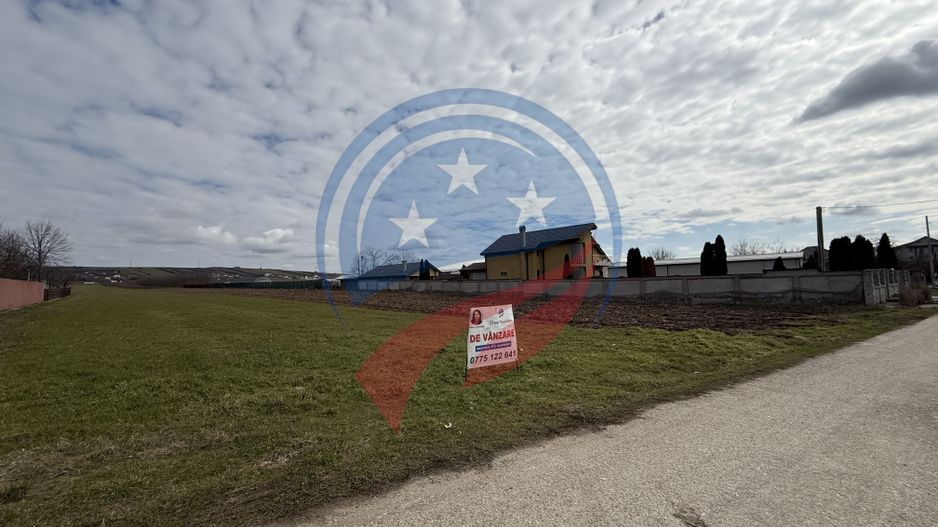 Teren de vanzare/Dudovicesti/Dolj - Poză 3