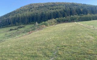 Teren Intravilan I 4129 MP I Gura Raului - Poză 2