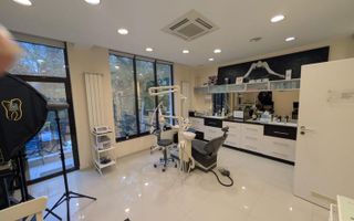 De inchiriat vila, compartimentare flexibila, Cotroceni-Panduri - Poză 3