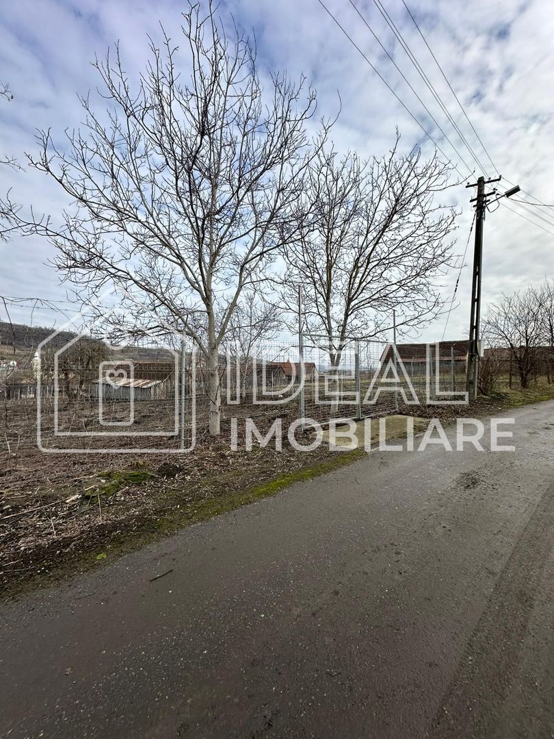 Teren intravilan de vânzare în sat Alămor, comuna Loamneș, județul Sibiu - Poză 8