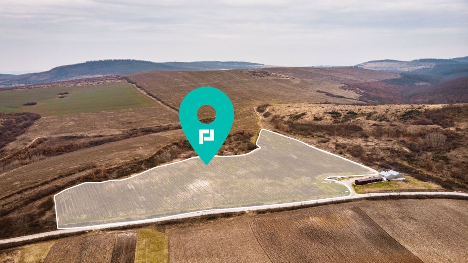 Vie de 115 Hectare în satul Dud, județul Arad - Poză 1