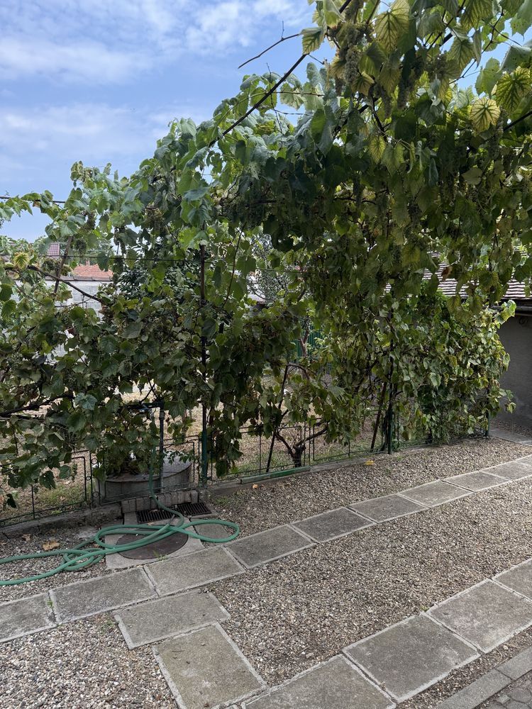 Casă de închiriat în Sebeș – zonă centrală - Poză 7