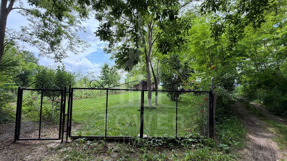 OCAZIE RARĂ - Teren cu cabană de vânzare lângă Lacurile Naturale - Ocna Sibiului - Poză 6