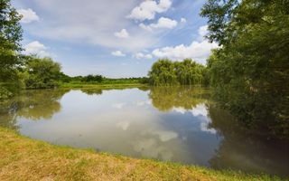 Moară istorică cu teren și luciu de apă în Aldești - Poză 9