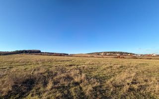 Teren Extravilan | 1.500 mp | Strada Pădurii - Poză 4