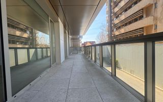 3 CAMERE || CORTINA 126 || EROUIANCU NICOLAE - Poză 8