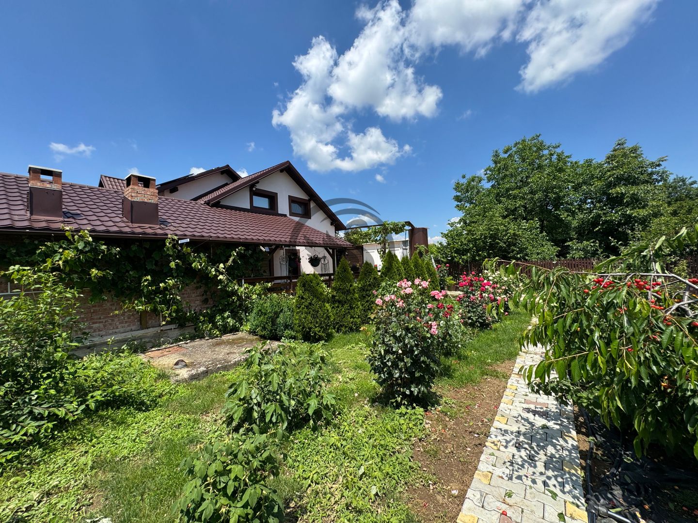 Casă modernă | Energie solară | Grădină I Mehedința I Comision 0% - Poză 26