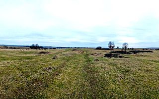 Terenuri extravilane de vânzare – Vizma & Crivobara, comuna Secaș, jud. Timiș - Poză 12