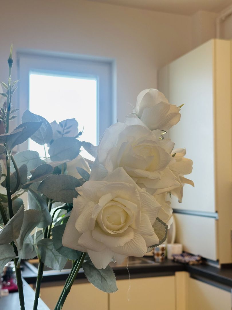 #Penthouse | Timisoara | #devanzare | - Poză 4