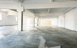 Inchiriere Hale Industriale în Aluniș, Arad  250 mp-1.500 mp - Poză 6